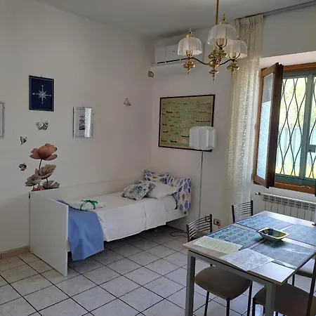 Holidays At The Dock - Airport