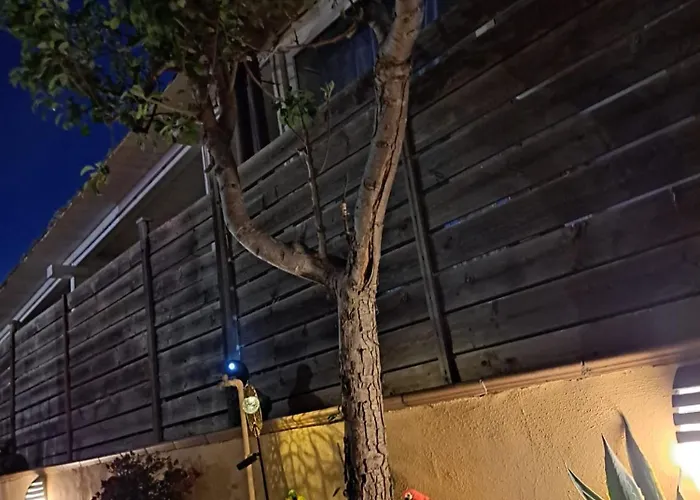 Holidays At The Dock - Airport Apartment Fiumicino